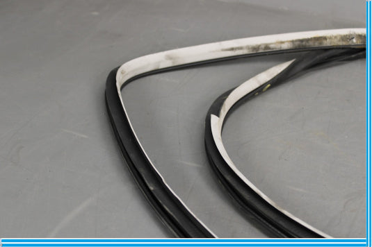 11-20 Infiniti QX56 QX80 Rear Right Side Door Window Weather Strip Seal Oem