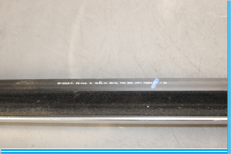 Load image into Gallery viewer, 09-15 BMW 750Li F01 F02 Rear Right Door Window Inner Belt Strip Seal Oem
