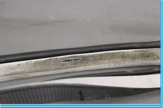 11-20 Infiniti QX56 QX80 Rear Left Side Door Window Weather Strip Seal Oem