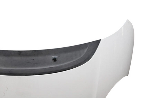 14-19 Fiat 500L Front Hood Bonnet Shell Cover Panel Assembly Silver 68210465 OEM