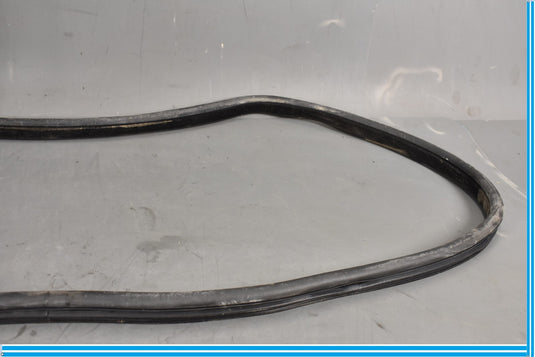 18-20 Jaguar E-Pace Rear Right Passenger Door Body Weatherstrip Seal Oem