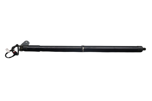 11-14 Porsche Cayenne 958 Rear Left Driver Side Trunk Lift Hatch Strut Shock Oem