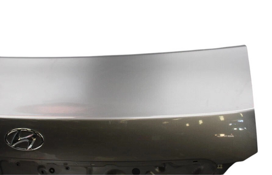 11-16 Hyundai Equus SIG Rear Trunk Lid Tailgate Cover Panel Assembly Silver Oem