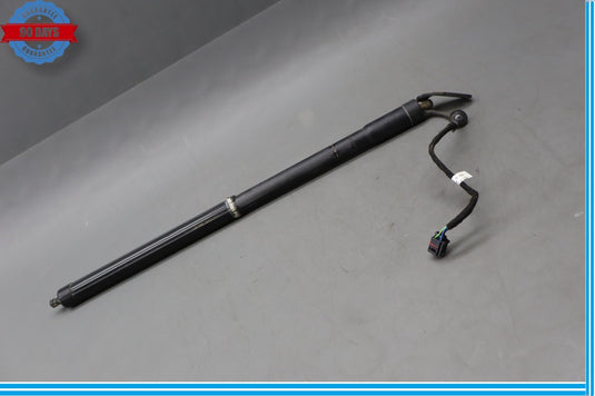 11-14 Porsche Cayenne Rear Left Driver Side Trunk Shock Strut Oem