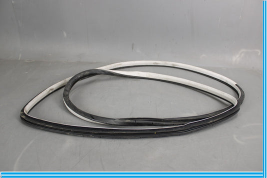 11-20 Infiniti QX56 QX80 Rear Left Side Door Window Weather Strip Seal Oem