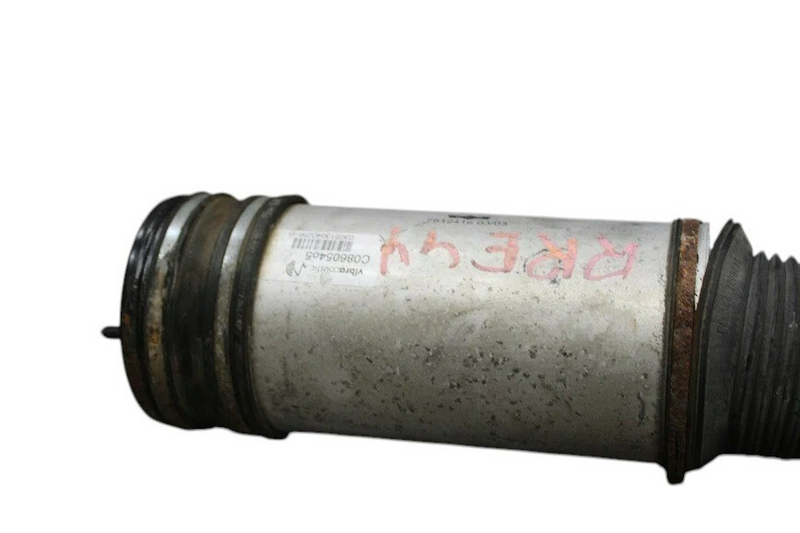 Load image into Gallery viewer, 00-06 Mercedes S500 S600 Rear Right Air Airmatic Shock Absorber Strut Oem
