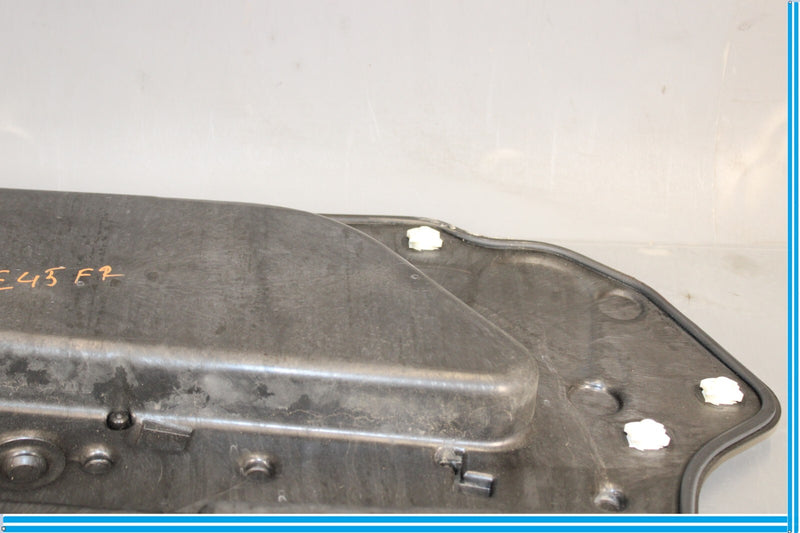 Load image into Gallery viewer, 09-15 BMW 750Li F01 F02 Front Right Door Sound Insulation Carrier Plate Oem
