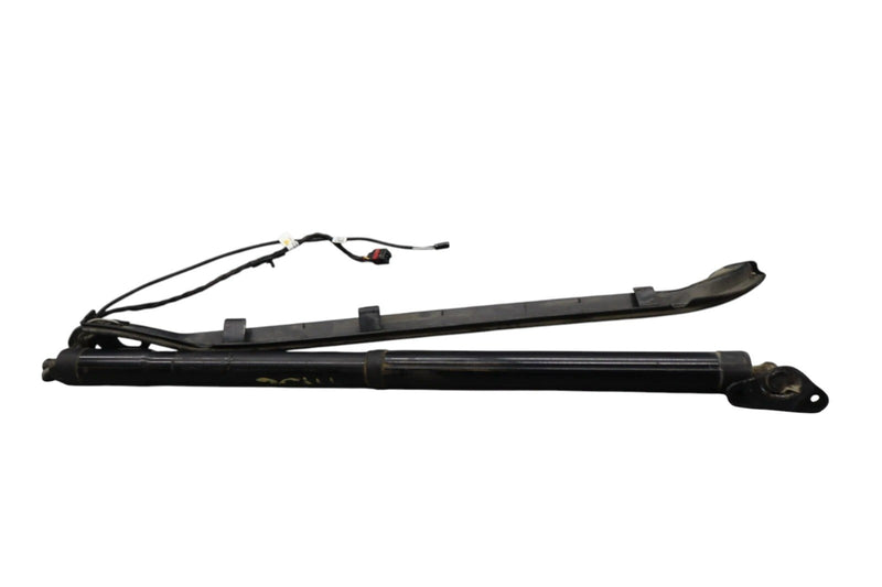 Load image into Gallery viewer, 11-17 Volkswagen Touareg Rear Right Trunk Lift Cylinder Support Shock Strut OEM
