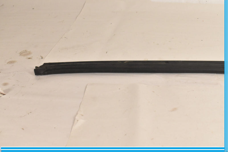 Load image into Gallery viewer, 09-15 BMW 750Li 750i F01 F02 Front Lower Door Weather strip Seal Black Oem
