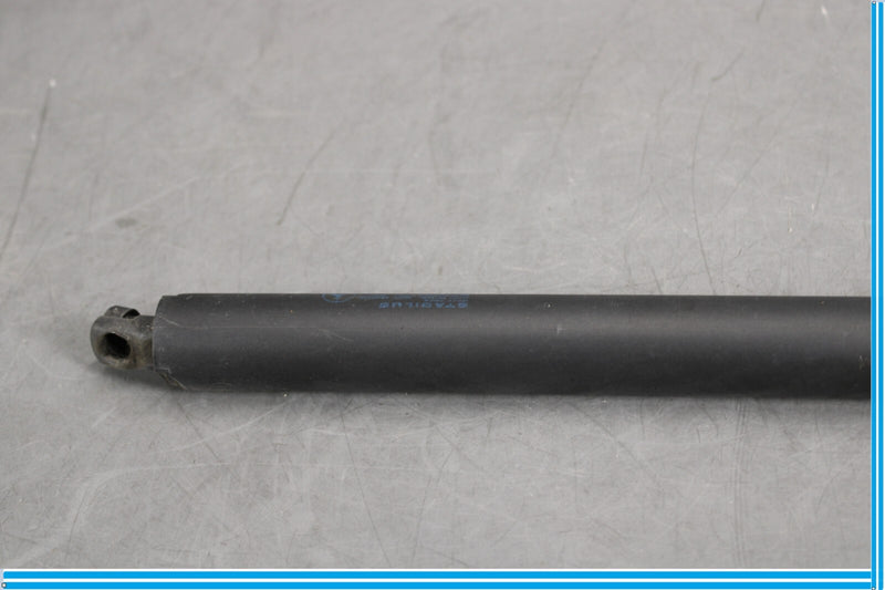 Load image into Gallery viewer, 07-12 Mercedes X164 GL550 GL450 Rear Left Side Trunk Tailgate Shock Strut Oem
