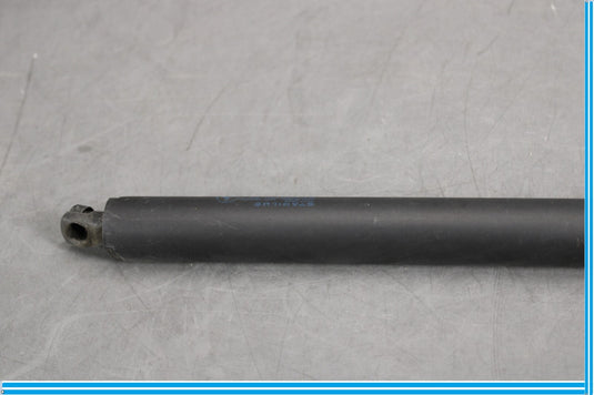 07-12 Mercedes X164 GL550 GL450 Rear Left Side Trunk Tailgate Shock Strut Oem
