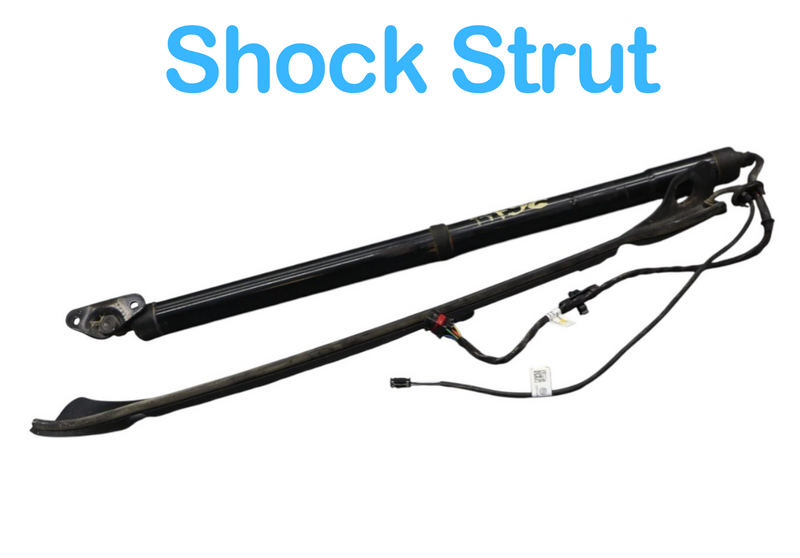 Load image into Gallery viewer, 11-17 Volkswagen Touareg Rear Right Trunk Lift Cylinder Support Shock Strut OEM
