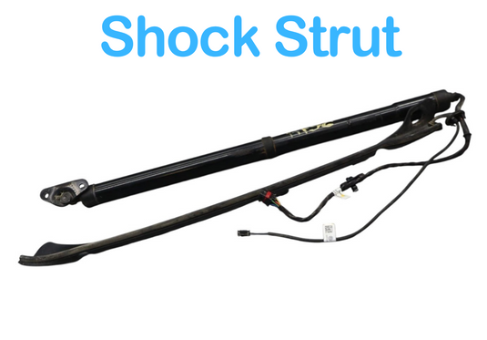 11-17 Volkswagen Touareg Rear Right Trunk Lift Cylinder Support Shock Strut OEM