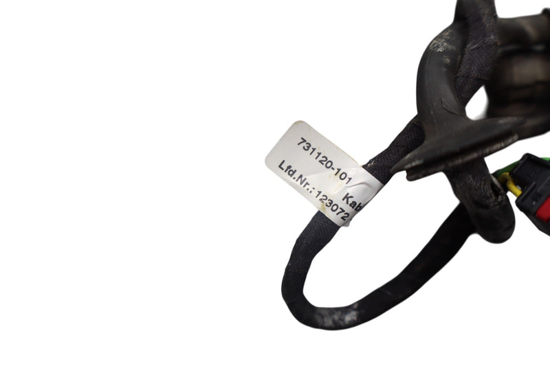 Load image into Gallery viewer, 11-14 Porsche Cayenne 958 Rear Left Driver Side Trunk Lift Hatch Strut Shock Oem
