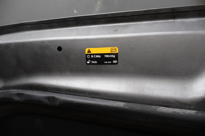 Load image into Gallery viewer, 15-20 Hyundai Genesis G80 Front Hood Bonnet Cover Panel Assembly 66400-B1000 Oem
