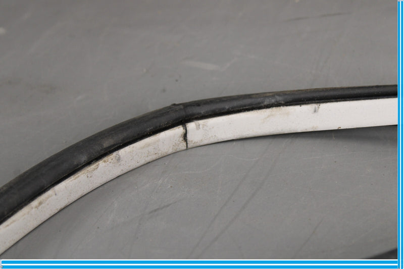 Load image into Gallery viewer, 11-20 Infiniti QX56 QX80 Rear Right Side Door Window Weather Strip Seal Oem
