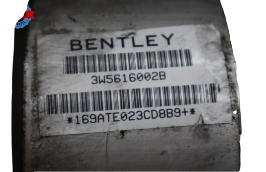 06-12 Bentley Continental Rear Right Air Suspension Shock Absorber Strut Oem