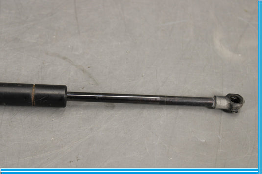 04-12 Bentley Continental Right Passenger Side Boot Lid Suspension Struts Oem