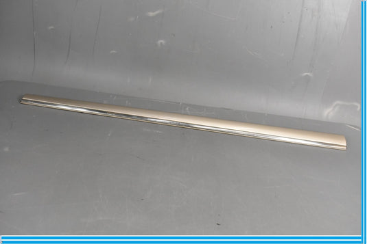 00-06 Mercedes S500 S600 W220 Front Right Passenger Door Rub Strip Molding Oem