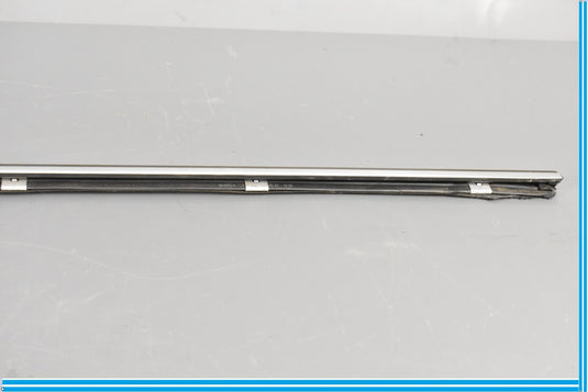 00-06 Mercedes CL500 CL600 W215 Front Left Driver Door Window Trim Molding Oem
