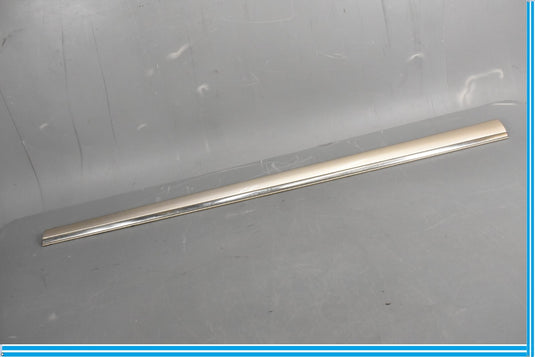 00-06 Mercedes S500 S600 W220 Front Right Passenger Door Rub Strip Molding Oem