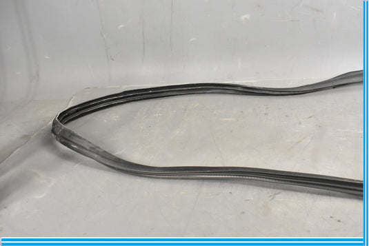 12-18 Mercedes CLS550 W219 Front Right Passenger Door Whether Strip Seal Oem