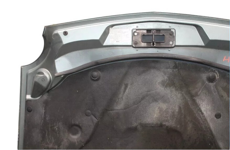 Load image into Gallery viewer, 02-05 Ford Thunderbird 3.9L V8 Front Hood Bonnet Cover Panel Assembly Tunda OEM
