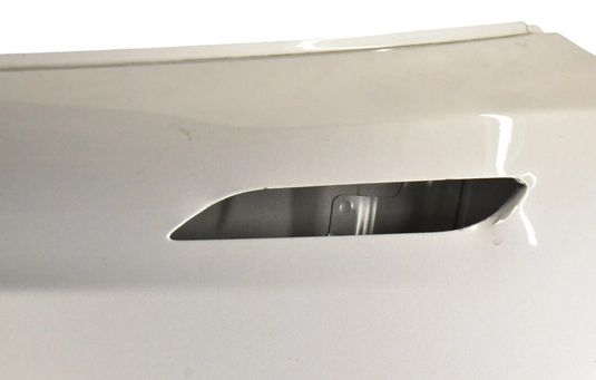 12-20 Tesla Model S Rear Left Driver Side Door Shell Panel Cover Assembly OEM