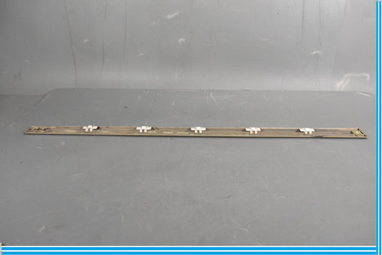 00-06 Mercedes S500 S600 W220 Front Left Driver Exterior Door Trim Molding Oem
