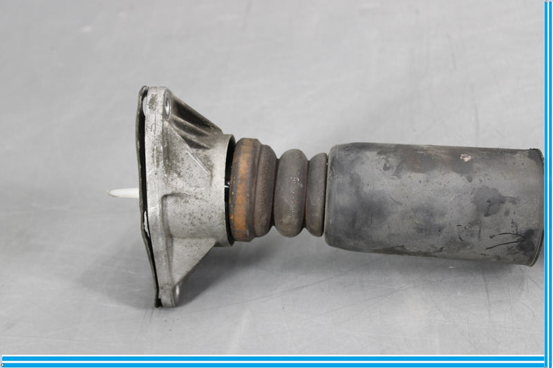 Load image into Gallery viewer, 12-18 BMW 320i 328i F30 Rear Left Driver Side Shock Absorber Strut Oem
