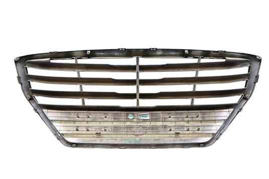 15-17 Hyundai Genesis G80 Front Radiator Grille Grill Assembly Silver Oem