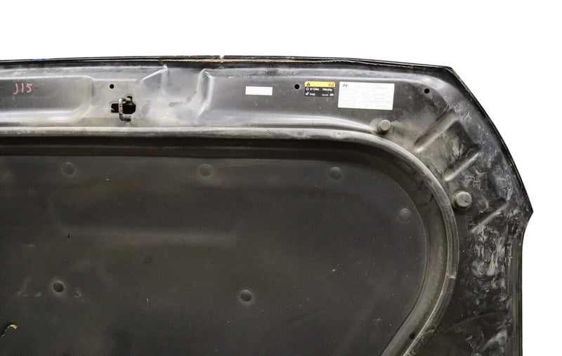 Load image into Gallery viewer, 15-20 Hyundai Genesis G80 Front Hood Bonnet Cover Panel Assembly 66400-B1000 Oem
