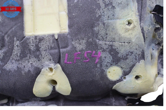 14-20 BMW 428i Front Left Driver Side Lower Bottom Seat Cover Cushion Oem