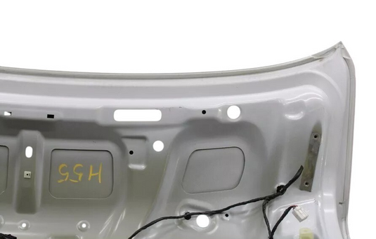 17-20 Genesis G80 Rear Trunk Deck Lid Panel Complete Assembly 69200B1520 OEM