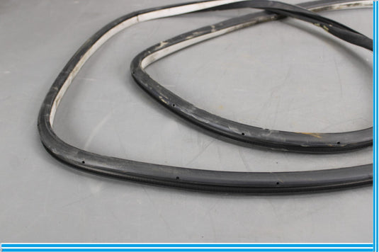 11-20 Infiniti QX56 QX80 Rear Right Side Door Window Weather Strip Seal Oem