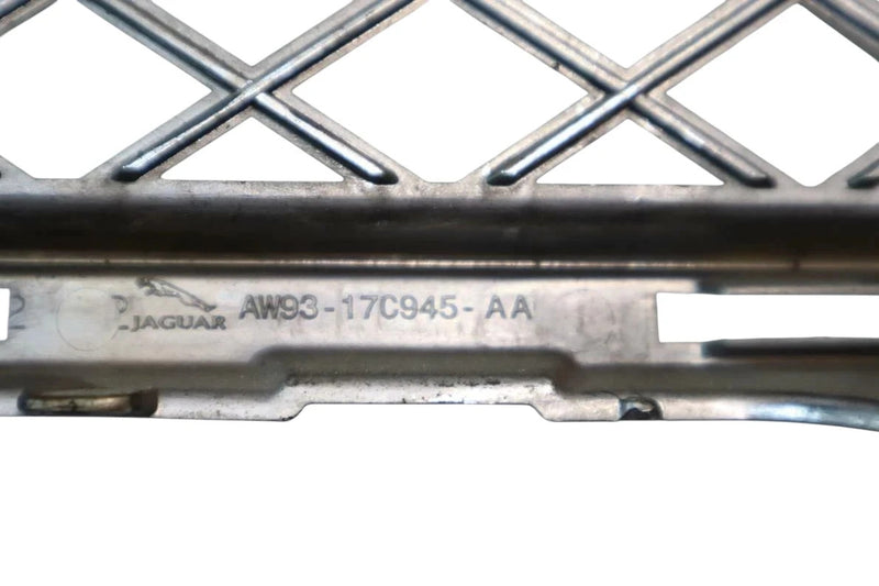 Load image into Gallery viewer, 10-18 Jaguar XJ XJL Front Bumper Center Lower Grille AW9317C945AA OEM
