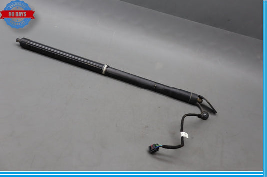 11-14 Porsche Cayenne Rear Left Driver Side Trunk Shock Strut Oem