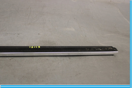 09-15 BMW 750Li F01 F02 Rear Left Door Window Inner Belt Weatherstrip Seal Oem