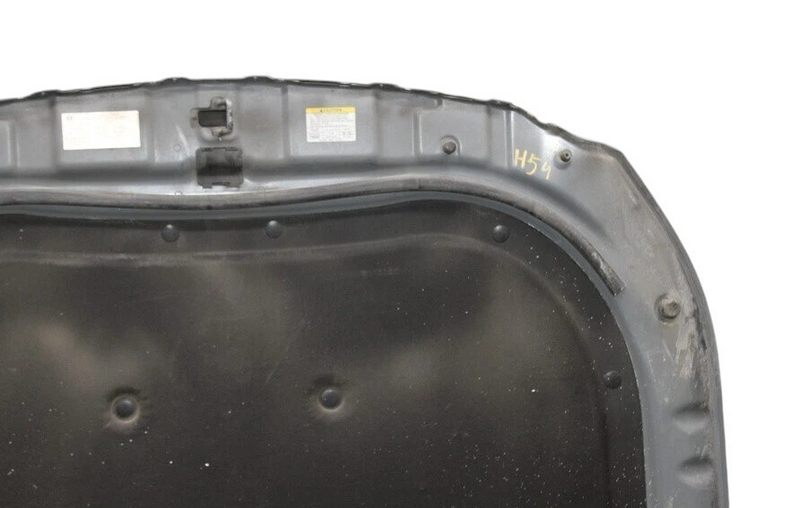 Load image into Gallery viewer, 11-12 Hyundai Equus SIG Front Hood Bonnet Shell Lid Cover Assembly Silver OEM
