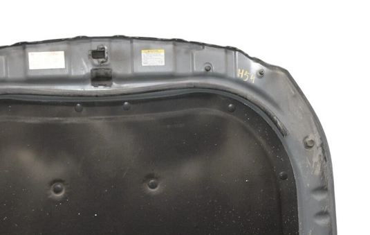 11-12 Hyundai Equus SIG Front Hood Bonnet Shell Lid Cover Assembly Silver OEM