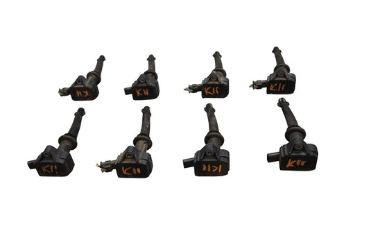 03-12 Land Rover Range Rover HSE L322 Engine Ignition Coil Ignitor Set Of 8 Oem