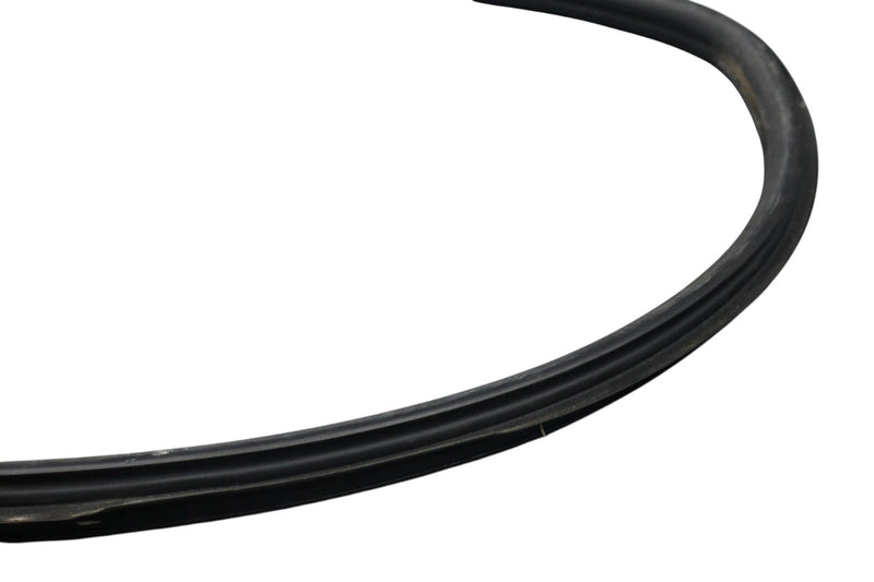 Load image into Gallery viewer, 02-05 Ford Thunderbird Left Driver Side Door Seal Rubber 1W63762070B OEM
