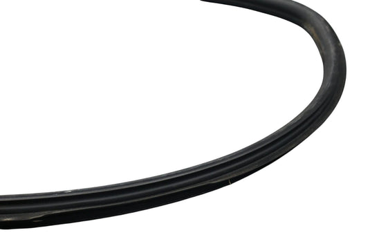 02-05 Ford Thunderbird Left Driver Side Door Seal Rubber 1W63762070B OEM
