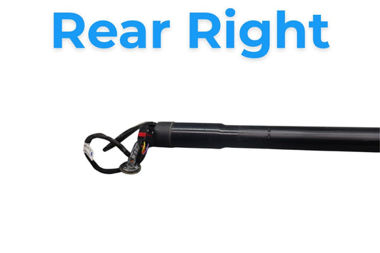 11-14 Porsche Cayenne 958 Rear Right Side Trunk Lift Hatch Strut Shock Oem