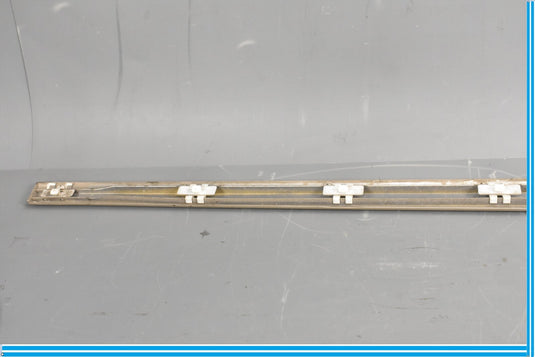 00-06 Mercedes S500 S600 W220 Front Right Passenger Door Rub Strip Molding Oem