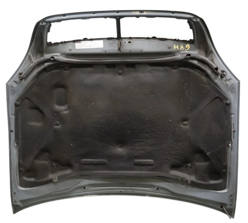 Load image into Gallery viewer, 01-03 Lexus LS430 UCF30L Front Hood Bonnet Panel Assembly 53301-50050 OEM
