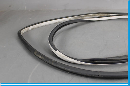 11-20 Infiniti QX56 QX80 Rear Left Side Door Window Weather Strip Seal Oem