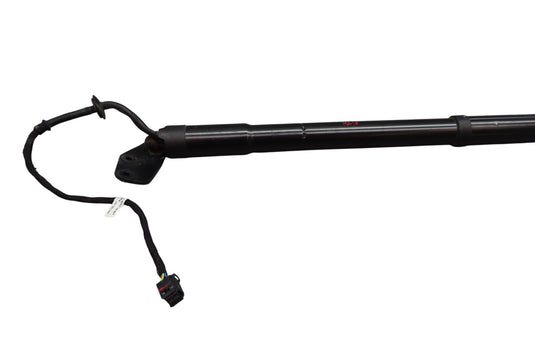 11-14 Porsche Cayenne 958 Rear Right Side Trunk Lift Hatch Strut Shock Oem