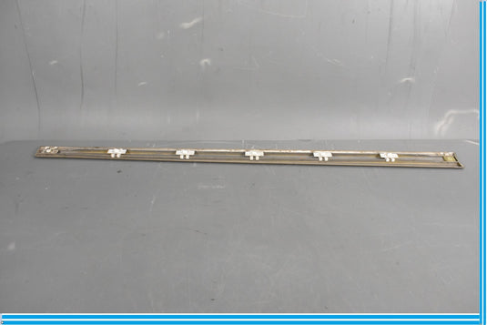 00-06 Mercedes S500 S600 W220 Front Right Passenger Door Rub Strip Molding Oem