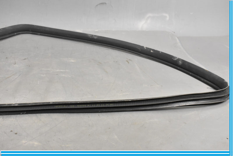 Load image into Gallery viewer, 12-18 Mercedes CLS550 W219 Rear Right Passenger Door Whether Strip Seal Oem
